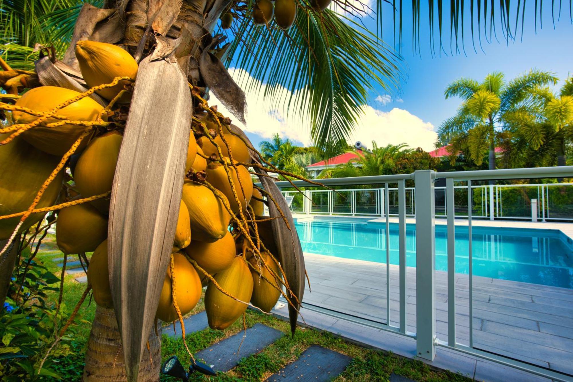 Hotel & Villa Le Cocotel Saint-Francois  Exterior photo